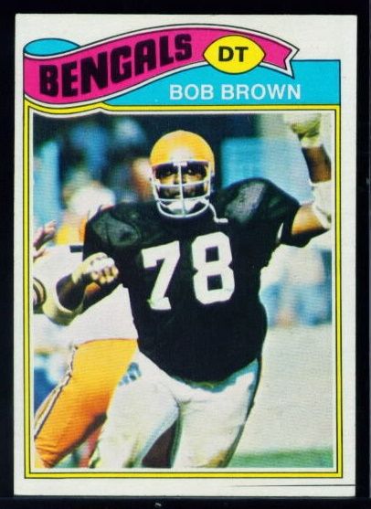 491 Bob Brown